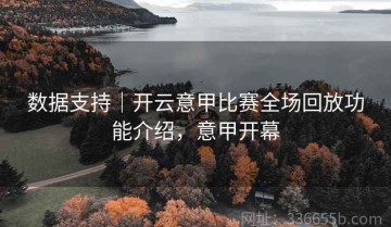 数据支持｜开云意甲比赛全场回放功能介绍，意甲开幕