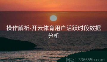 操作解析-开云体育用户活跃时段数据分析