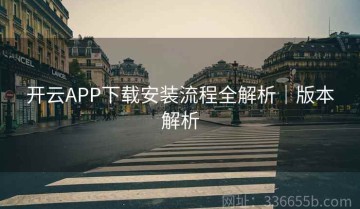 开云APP下载安装流程全解析｜版本解析