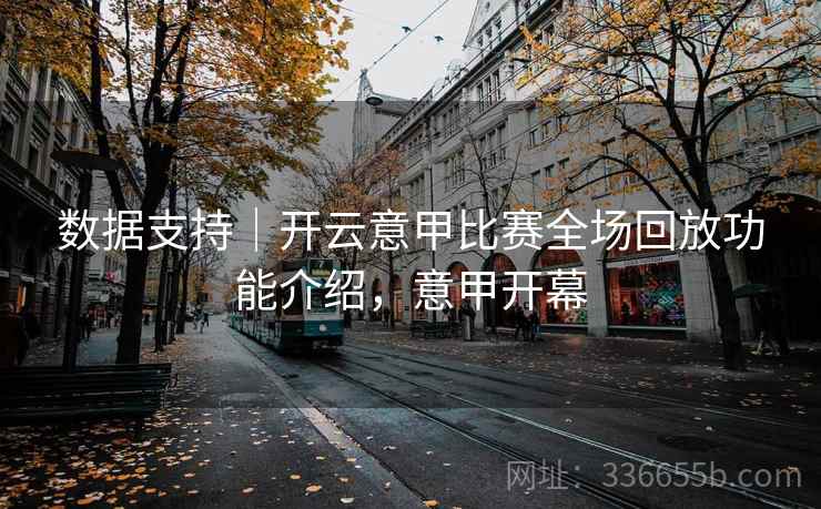 数据支持｜开云意甲比赛全场回放功能介绍，意甲开幕