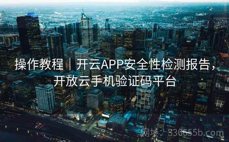 操作教程｜开云APP安全性检测报告，开放云手机验证码平台
