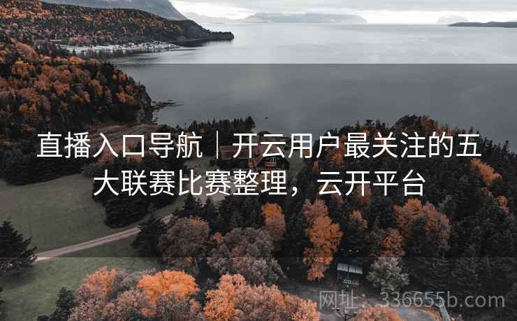 直播入口导航｜开云用户最关注的五大联赛比赛整理，云开平台